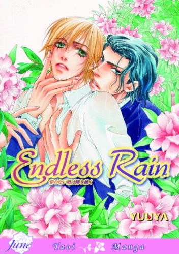 ENDLESS RAIN GN (9781569707364)