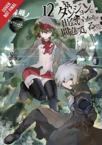 IS WRONG PICK UP GIRLS DUNGEON NOVEL SC VOL 12