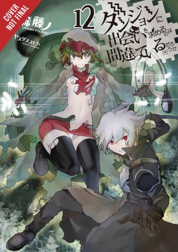 IS WRONG PICK UP GIRLS DUNGEON NOVEL SC VOL 12 (9781975354787)