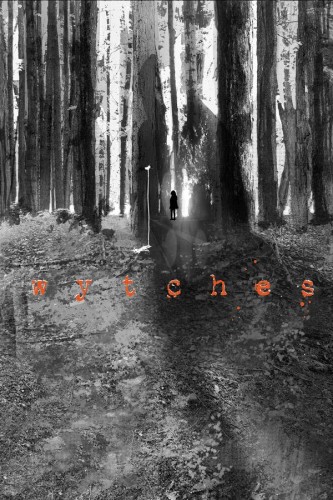 IMAGE GIANT SIZED ARTISTS PROOF ED WYTCHES #1