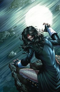 VAN HELSING VS THE WEREWOLF #2 CVR D METCALF