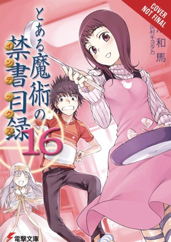 CERTAIN MAGICAL INDEX LIGHT NOVEL SC VOL 16 (9780316442749)