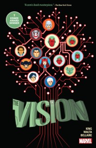 VISION HC