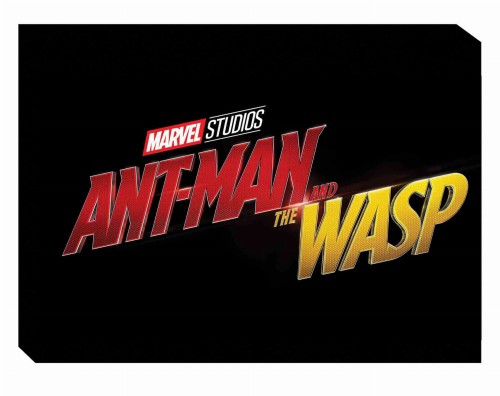 MARVELS ANT-MAN AND WASP ART OF MOVIE HC (9781302909062)