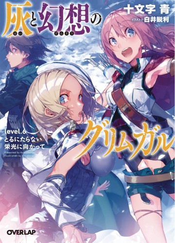 GRIMGAR OF FANTASY & ASH LIGHT NOVEL 06 (9781626927995)