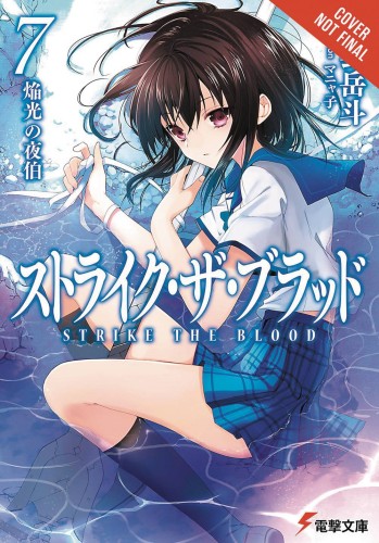 STRIKE THE BLOOD LIGHT NOVEL SC VOL 07 (9780316562652)