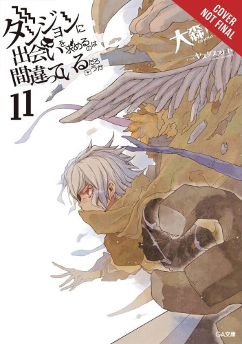 IS WRONG PICK UP GIRLS DUNGEON NOVEL 11 (9780316442473)