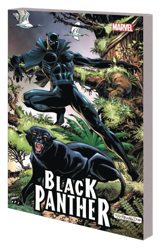 BLACK PANTHER PANTHERS QUEST TP (9781302908034)