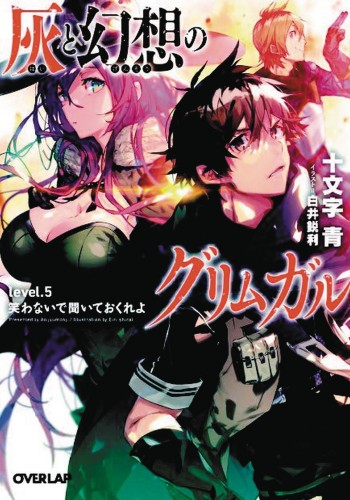 GRIMGAR OF FANTASY & ASH LIGHT NOVEL 05 (9781626926585)