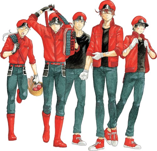 CELLS AT WORK CODE BLACK GN VOL 06 (9781646511495)