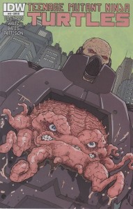TMNT ONGOING #19 RI CVR