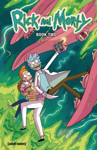 RICK AND MORTY HC VOL 02 (9781620104392)