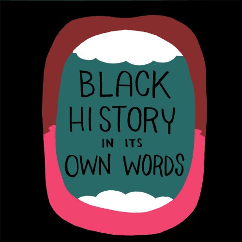 BLACK HISTORY IN ITS OWN WORDS HC (9781534301535)